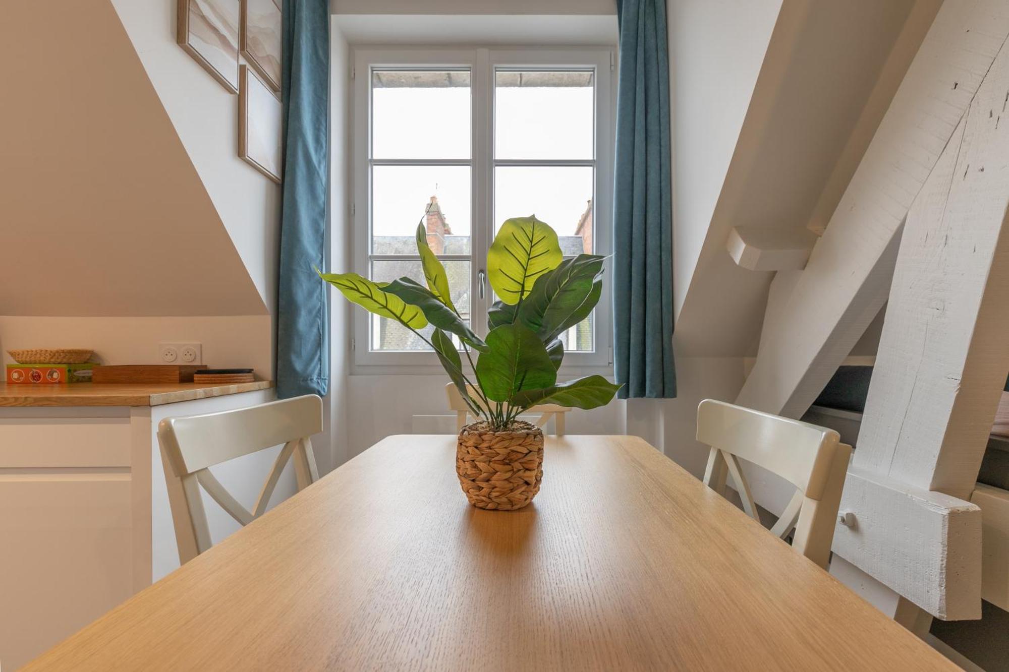 Duplex Renove Vue Sur La Loire
